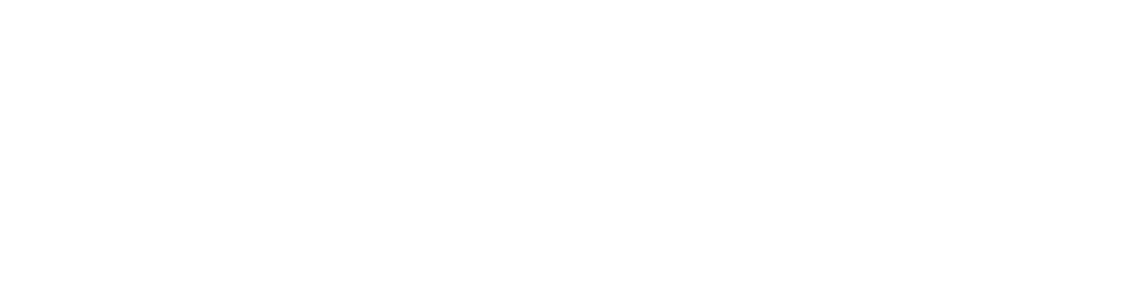 Polygon 1 1